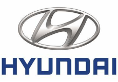 logo-hynudai